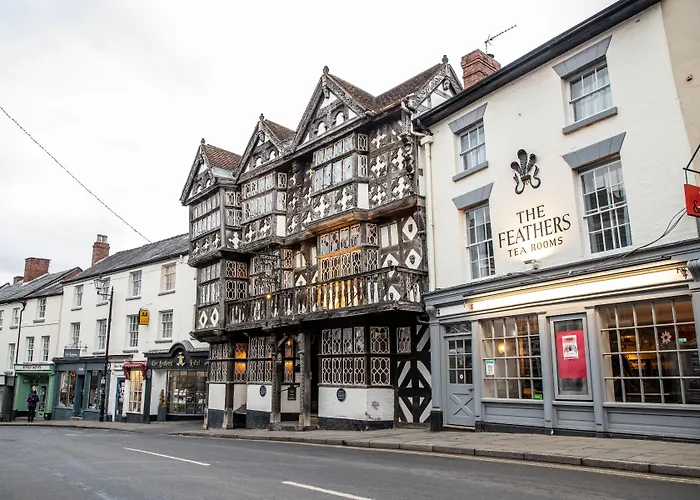 The Feathers Hotel